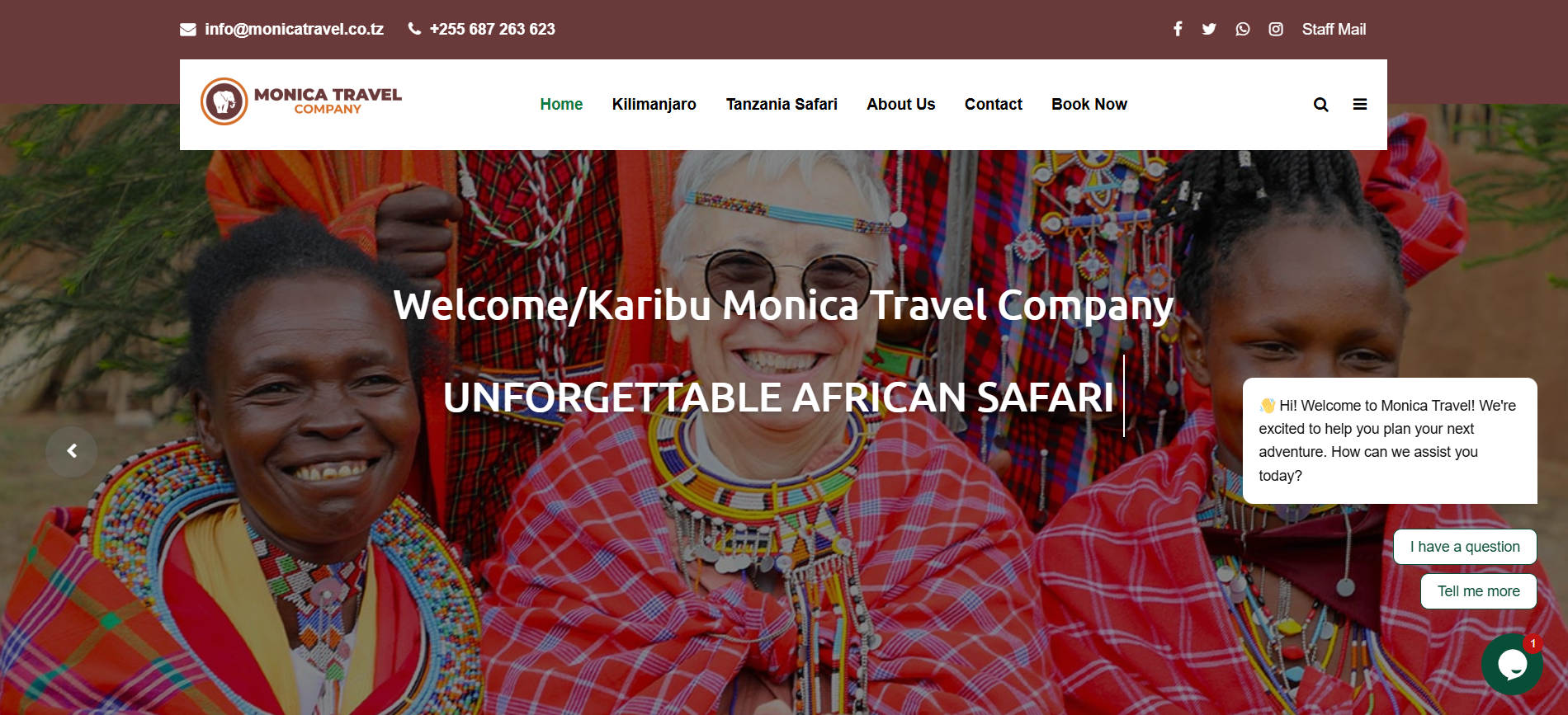 Monica Travel Website